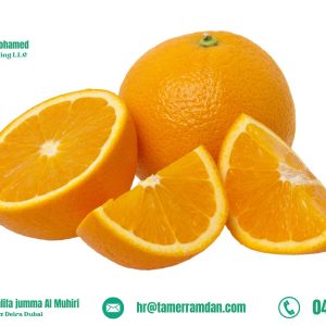 Product (18)