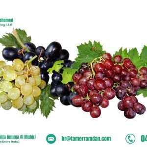 Product (15)