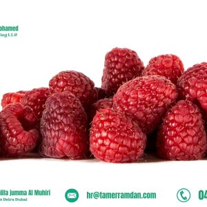 Product (14)