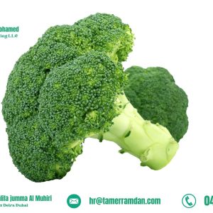 Product (13)
