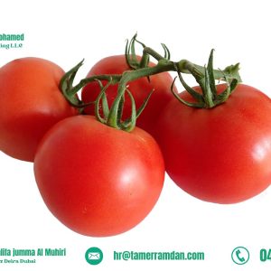 Product (12)