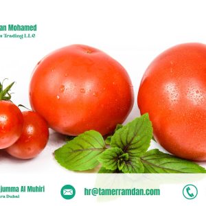 Product (9)