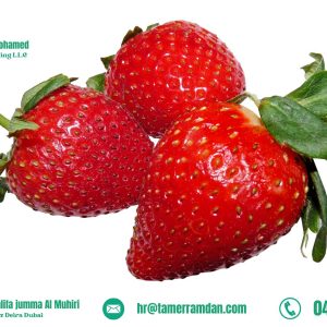 Product (3)