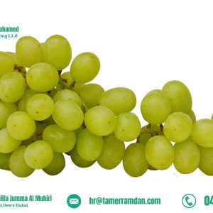 Product (2)